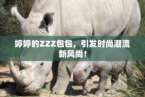 婷婷的ZZZ包包，引发时尚潮流新风尚！