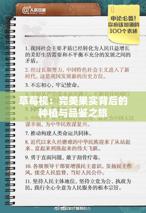 草莓视：完美果实背后的种植与品鉴之旅