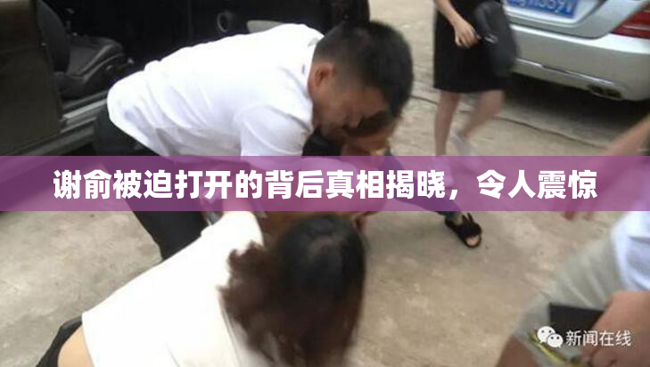 谢俞被迫打开的背后真相揭晓，令人震惊