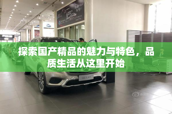 探索国产精品的魅力与特色，品质生活从这里开始