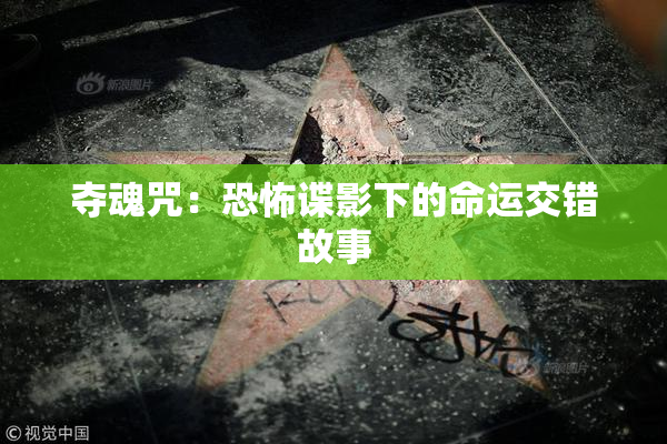 夺魂咒：恐怖谍影下的命运交错故事
