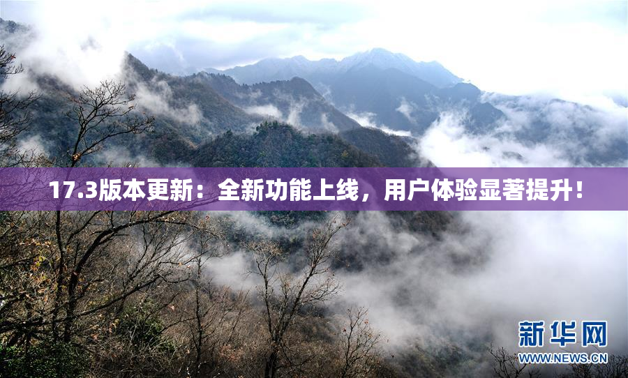 17.3版本更新：全新功能上线，用户体验显著提升！