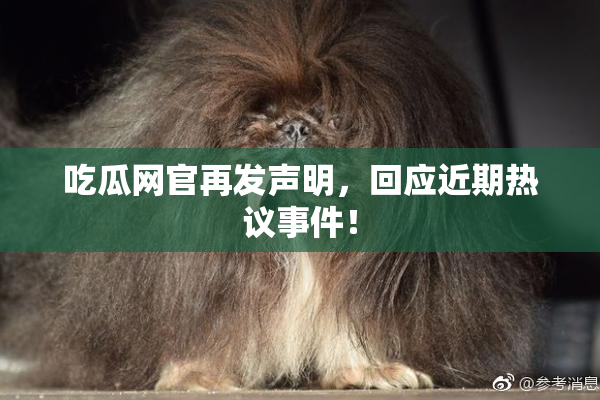 吃瓜网官再发声明，回应近期热议事件！