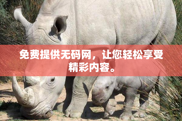 免费提供无码网，让您轻松享受精彩内容。