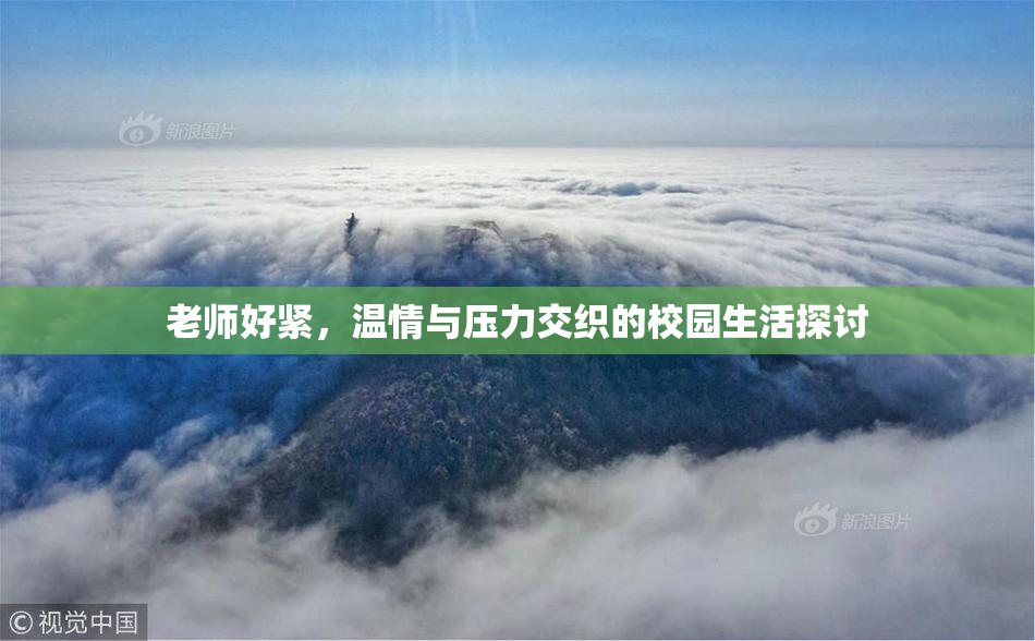 老师好紧，温情与压力交织的校园生活探讨