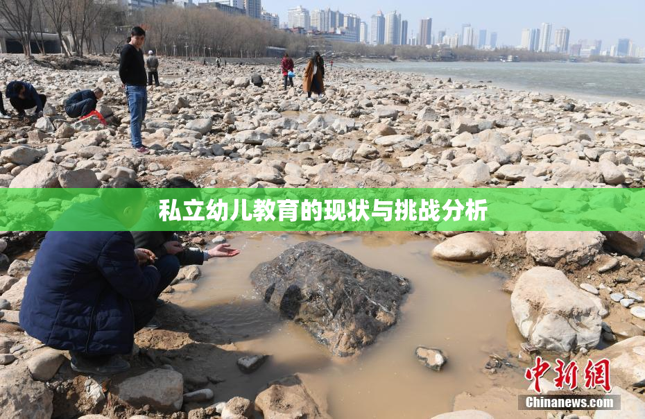 私立幼儿教育的现状与挑战分析
