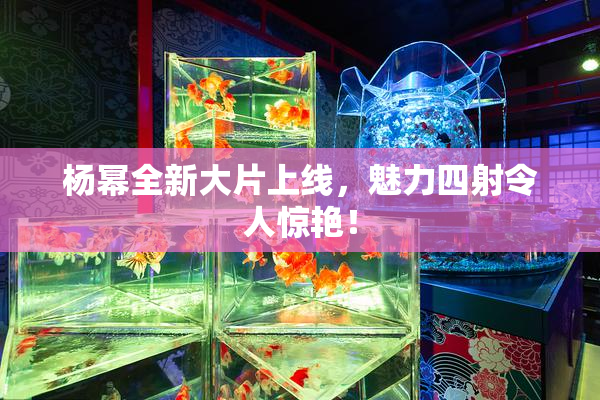 杨幂全新大片上线，魅力四射令人惊艳！