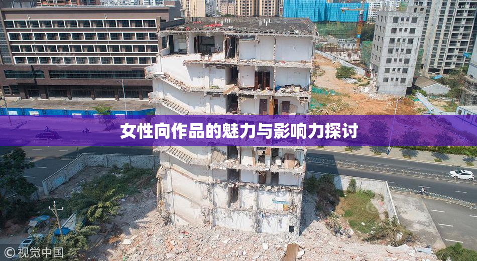 女性向作品的魅力与影响力探讨