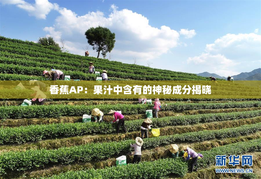香蕉AP：果汁中含有的神秘成分揭晓
