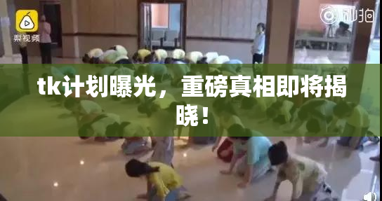tk计划曝光，重磅真相即将揭晓！
