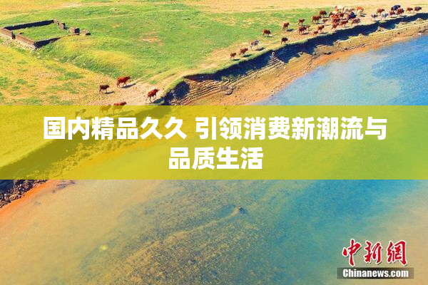 国内精品久久 引领消费新潮流与品质生活