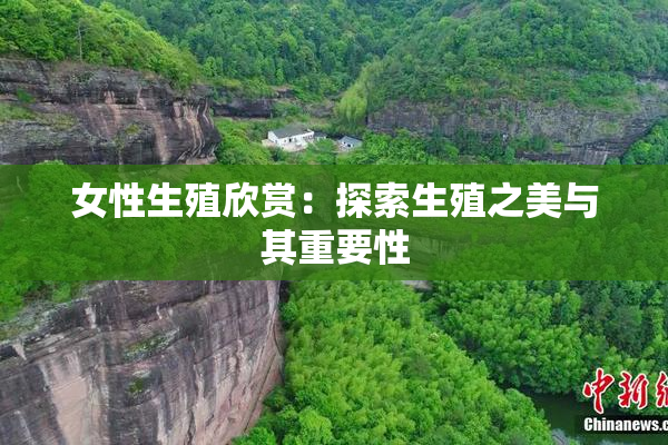 女性生殖欣赏：探索生殖之美与其重要性