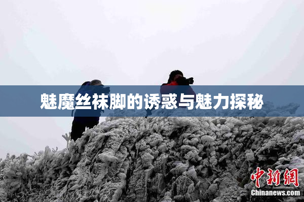 魅魔丝袜脚的诱惑与魅力探秘
