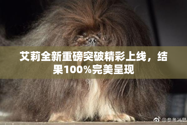 艾莉全新重磅突破精彩上线，结果100%完美呈现