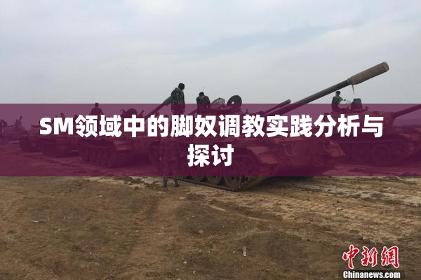 SM领域中的脚奴调教实践分析与探讨