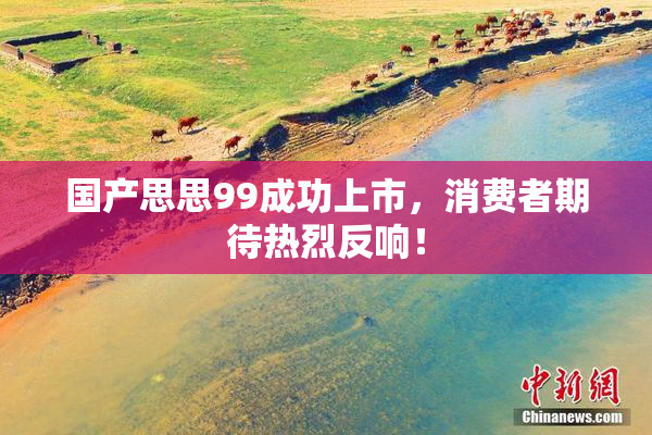 国产思思99成功上市，消费者期待热烈反响！