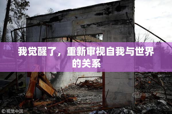 我觉醒了，重新审视自我与世界的关系