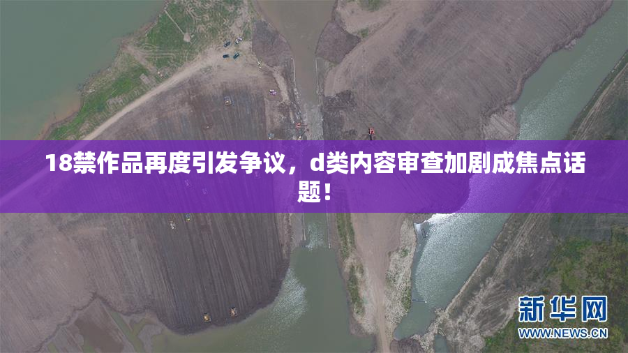 18禁作品再度引发争议，d类内容审查加剧成焦点话题！