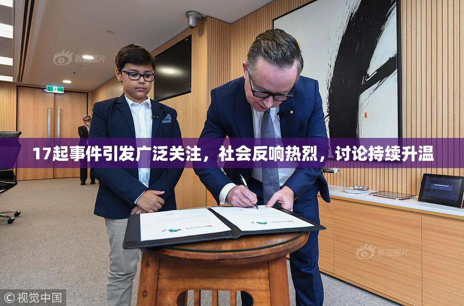 17起事件引发广泛关注，社会反响热烈，讨论持续升温