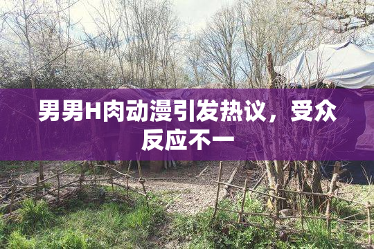 男男H肉动漫引发热议，受众反应不一