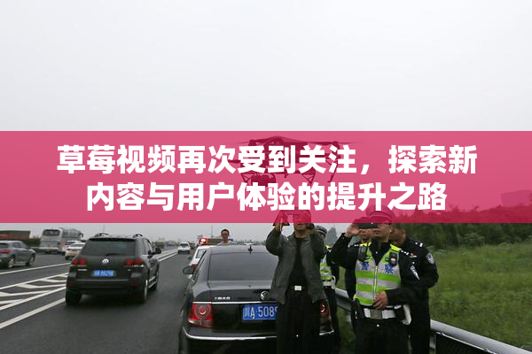 草莓视频再次受到关注，探索新内容与用户体验的提升之路