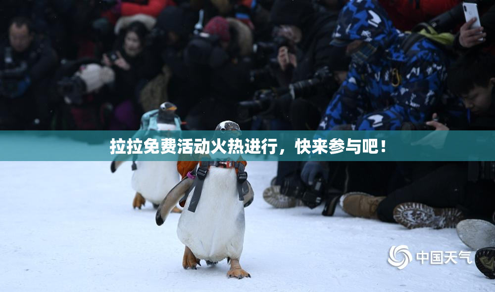 拉拉免费活动火热进行，快来参与吧！