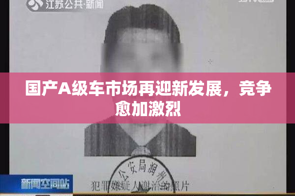 国产A级车市场再迎新发展，竞争愈加激烈