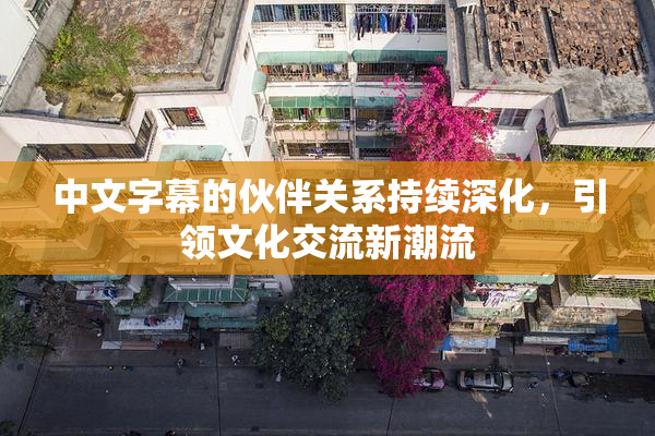 中文字幕的伙伴关系持续深化，引领文化交流新潮流