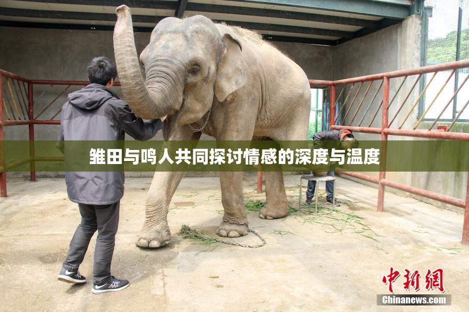 雏田与鸣人共同探讨情感的深度与温度