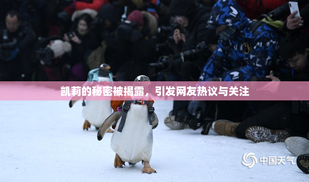 凯莉的秘密被揭露，引发网友热议与关注