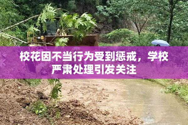 校花因不当行为受到惩戒，学校严肃处理引发关注