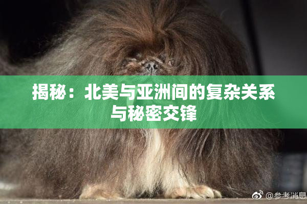 揭秘：北美与亚洲间的复杂关系与秘密交锋