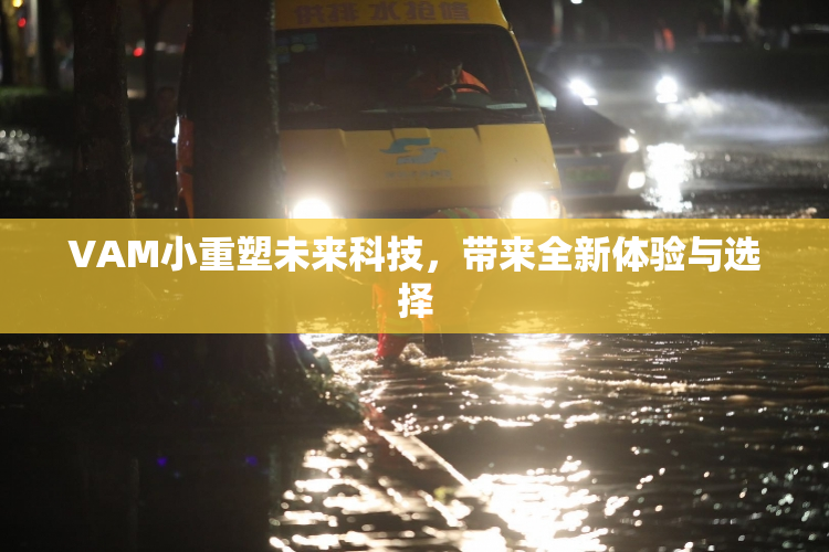 VAM小重塑未来科技，带来全新体验与选择