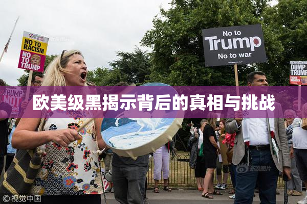 欧美级黑揭示背后的真相与挑战
