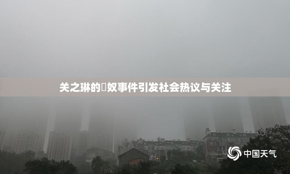 关之琳的婬奴事件引发社会热议与关注