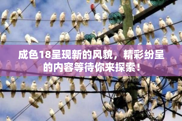 成色18呈现新的风貌，精彩纷呈的内容等待你来探索！
