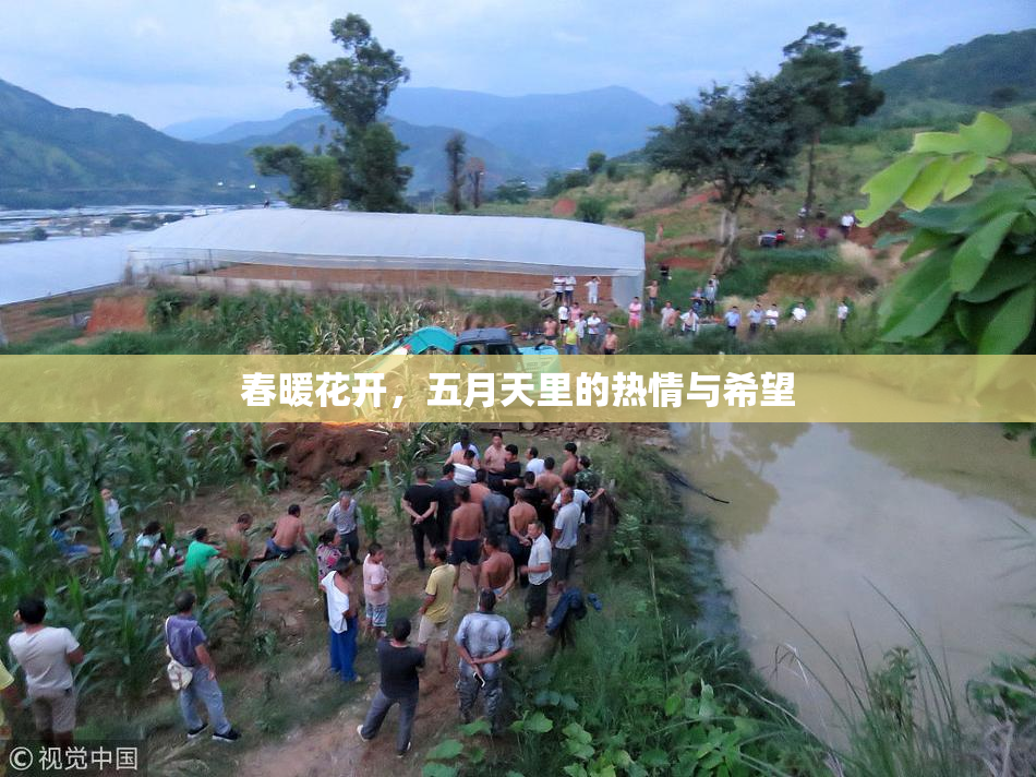 春暖花开，五月天里的热情与希望