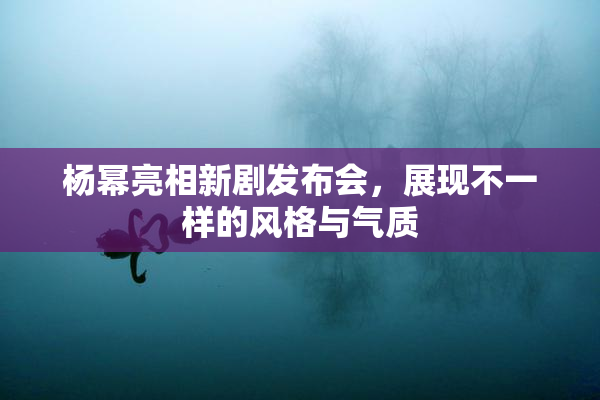 杨幂亮相新剧发布会，展现不一样的风格与气质