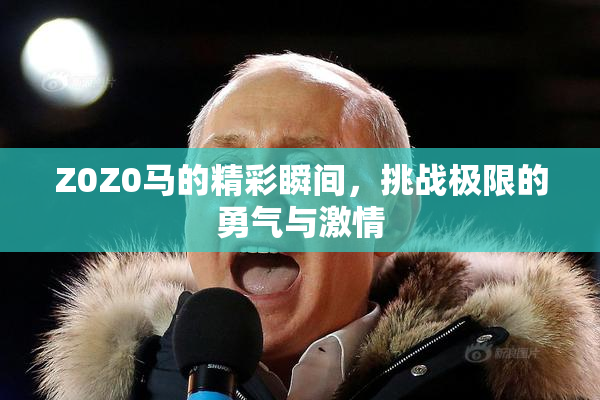 Z0Z0马的精彩瞬间，挑战极限的勇气与激情