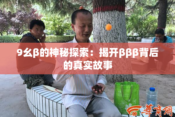 9幺β的神秘探索：揭开βββ背后的真实故事