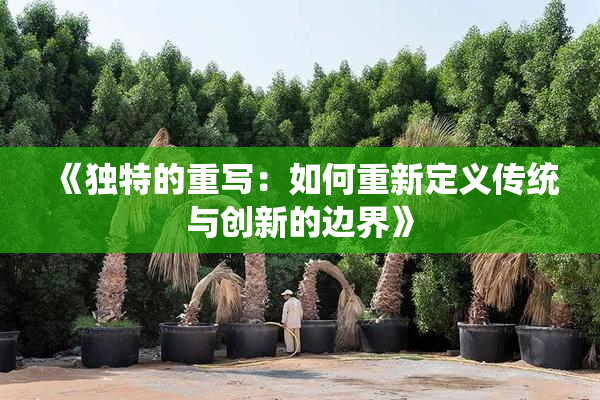 《独特的重写：如何重新定义传统与创新的边界》