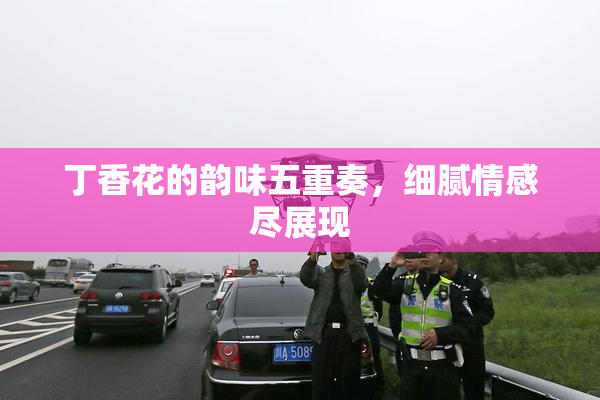 丁香花的韵味五重奏，细腻情感尽展现