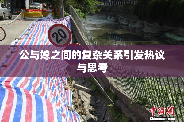 公与媳之间的复杂关系引发热议与思考