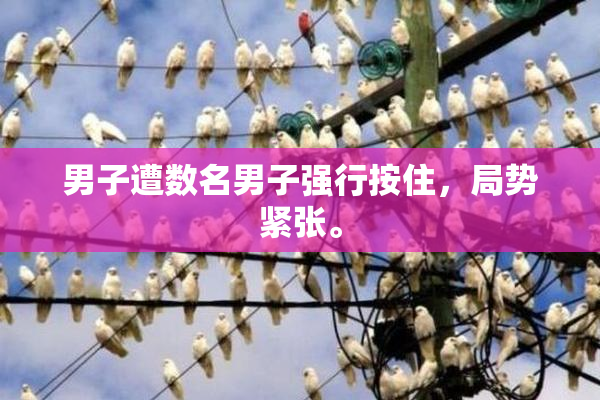 男子遭数名男子强行按住，局势紧张。