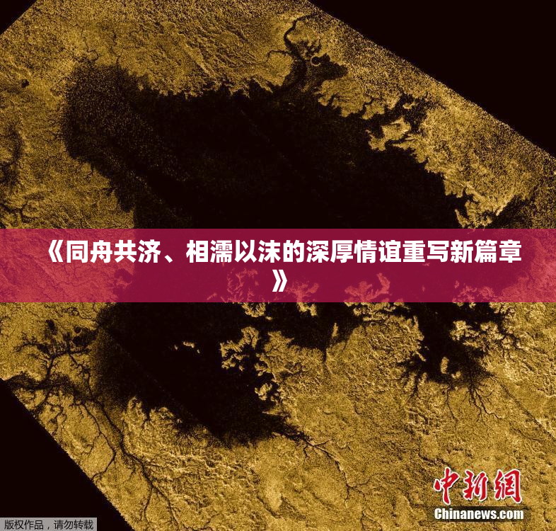 《同舟共济、相濡以沫的深厚情谊重写新篇章》