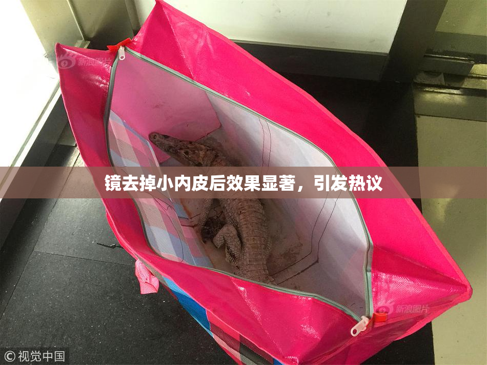 镜去掉小内皮后效果显著，引发热议