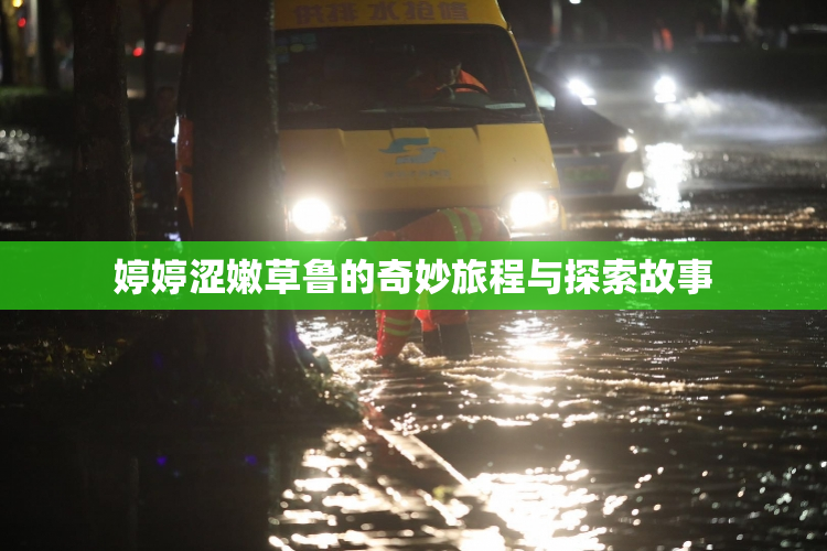 婷婷涩嫩草鲁的奇妙旅程与探索故事
