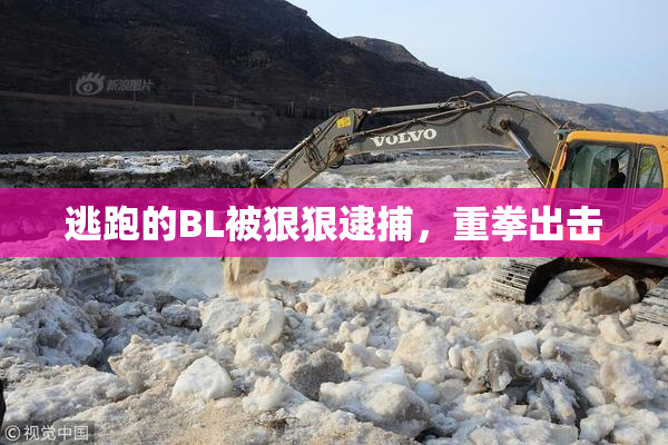 逃跑的BL被狠狠逮捕，重拳出击