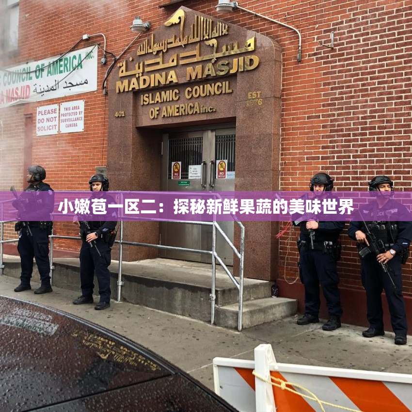 小嫩苞一区二：探秘新鲜果蔬的美味世界