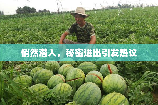 悄然潜入，秘密进出引发热议
